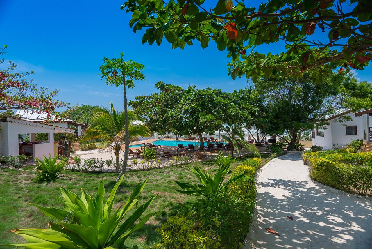 Warere Beach Nungwi Ngoại thất bức ảnh
